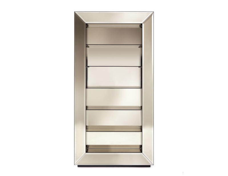 Selfie modern luxury bookcase with bronze glass